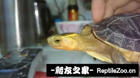 214208s0mgfzmdye2z77uf.jpg