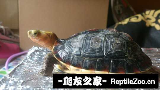 214211mzz2npfqwph24q43.jpg