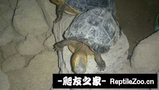 214213rm4s94mrd85r8mz4.jpg