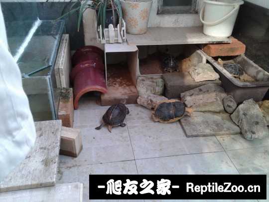 214301banea9megn02p6hp.jpg