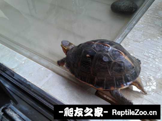 214301fe6ei3yh2m535hez.jpg