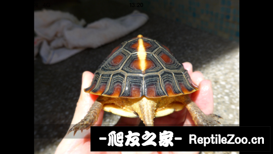 214358tx5x8h5cj5xs2s8j.png