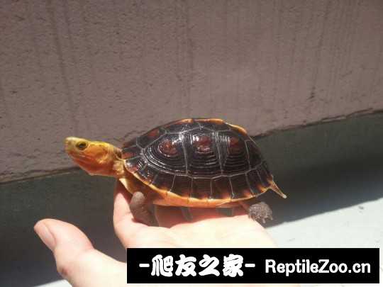 214414u7dd6pwxjbzkcjuu.jpg