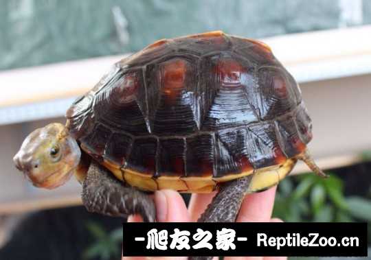 214434su422j2um4ajimmk.jpg