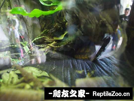 214658t8m8p8hh8fdsmzc3.jpg