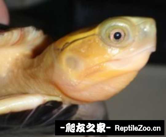 214909xs04jbbug4pp6zs2.jpg