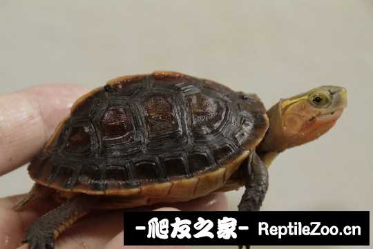 214929v1s3qyky8e3bykur.jpg