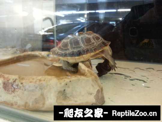 214944srerrw72eh9f195h.jpg
