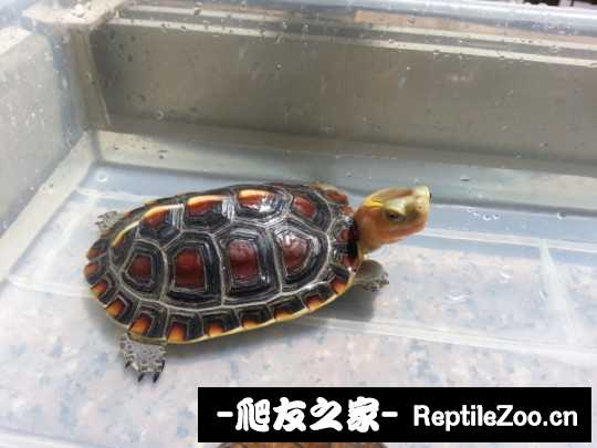 214945vmgrth92g0m8z9t9.jpg