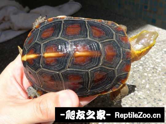 215013fxdfk0i0qxqjduf0.jpg