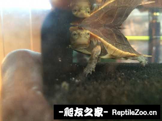 215109cb16f9nyssmbc9lk.jpg