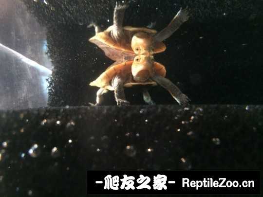 215109k3cd2774u7ueuplc.jpg