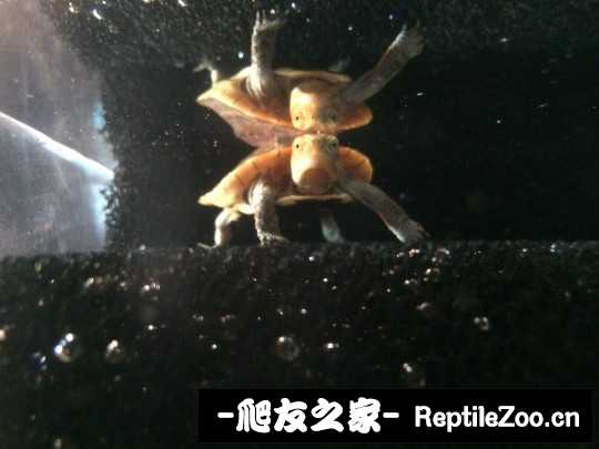 215109lnbbfsaimxccncws.jpg