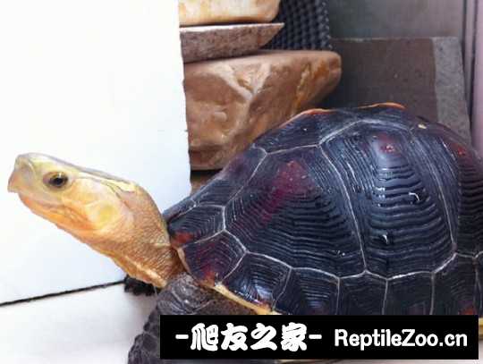 215228lvr9addadkvdtykw.jpg
