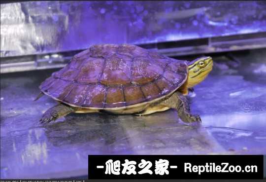 215801gz6f2pgw9wpw27wc.jpg