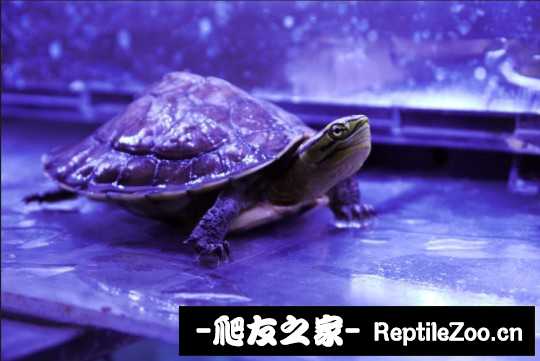 215803bu92e0zb70dzdg5g.jpg
