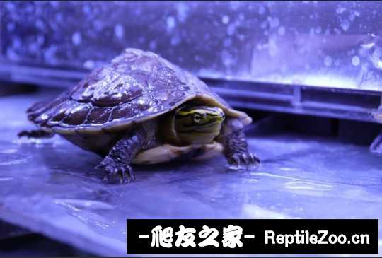 215805xcjbg5e5ch5hybvb.jpg