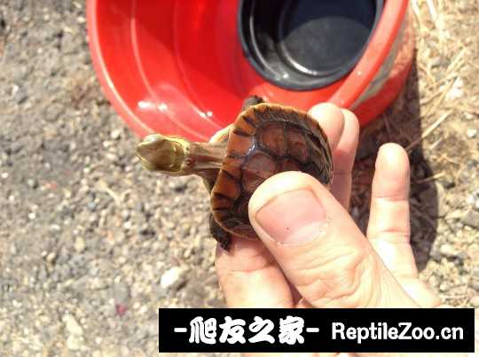 215845er6u1ssg6jtnet6z.jpg