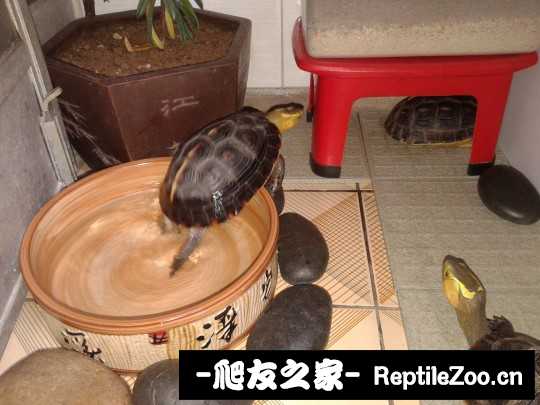 215955qmjnnzdgnnkxmmoj.jpg