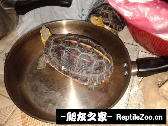 220029m6cku634qsaug3dw.jpg