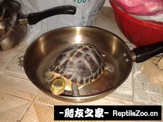 220030idy0u08s6l9z7ys6.jpg