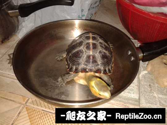 220031crjfj03rew969wq3.jpg