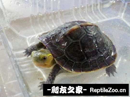 220051kijpt3jttjtddjd8.jpg