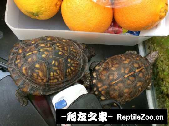 220434u2f08vgmm48k9202.jpg