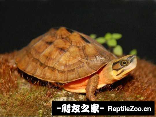 220504kjjne8x7z08u8djn.jpg