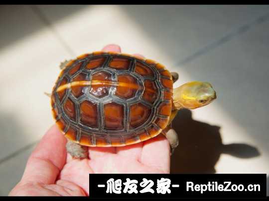 220554og5iieaegk9a7898.jpg