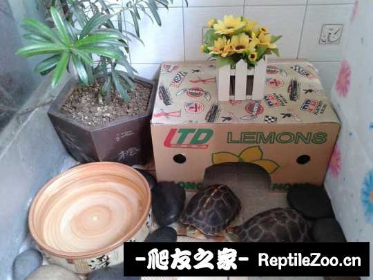 220608cna8q02rse627r6u.jpg