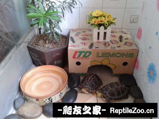 220608i0yul1hhhul0lupa.jpg