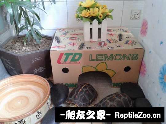 220608lzo1wq1ee1vwpwno.jpg