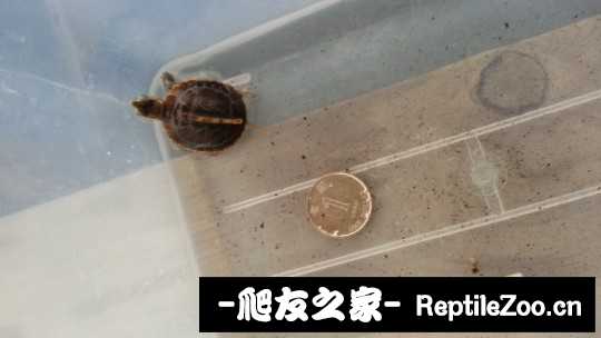 220718rtyybwj77qy6y77l.jpg
