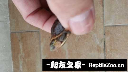 220719hxk082sowuhmwo5p.jpg