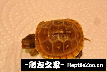 220739gm7xqpn1n71m4d4x.jpg