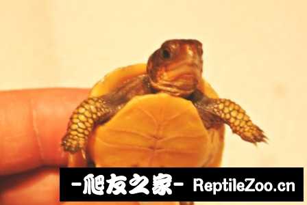220740cdi164fdzz6g4r7v.jpg