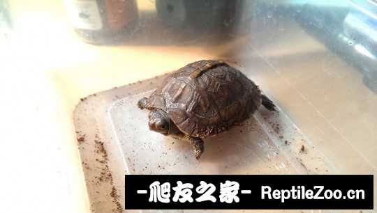 220746xzh4wsdtfzlyyg4d.jpg