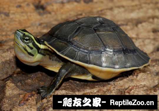 220751tuliuopqss6ibyio.jpg