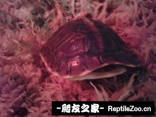 220838sb4n524kp0yll4kl.jpg