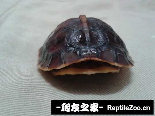 220839jlriqe4cdx4tqrzo.jpg