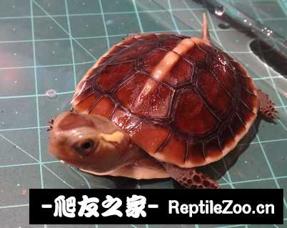 220914afz7g7t4g7hhhnx3.jpg