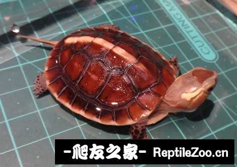 220915w3l107cp5zxi9il0.jpg