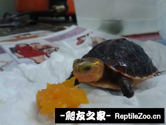 220957hbazt0ar2424d4kr.jpg