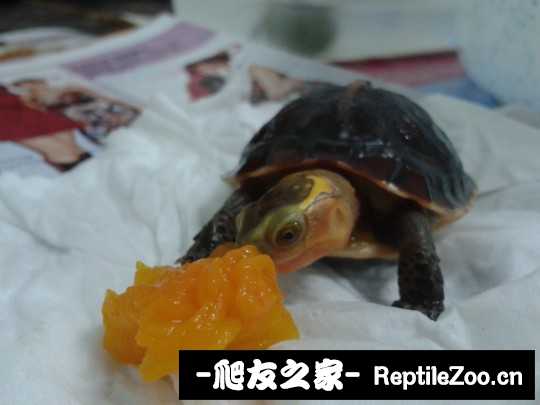 220957ulle8oow36oj3exb.jpg