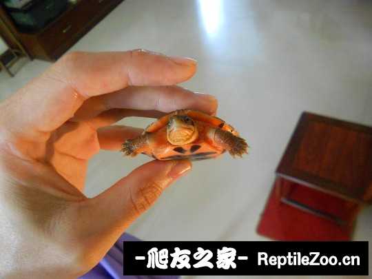 221006t3cs3o6w4h3hewhq.jpg