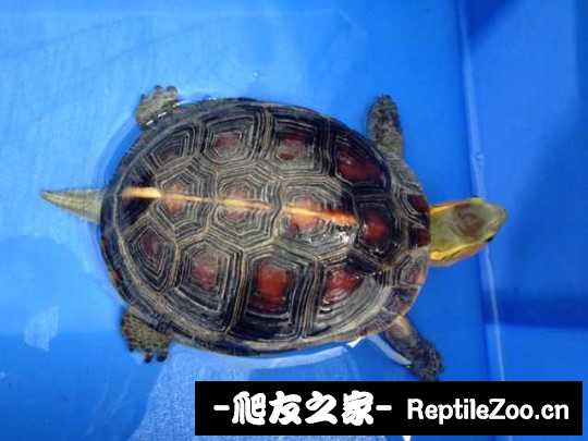 221307e8h2j7yyzbrk2hyw.jpg