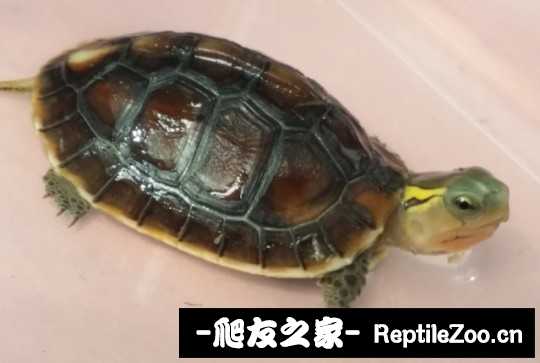 221320b7iv57jnz73z2imc.jpg
