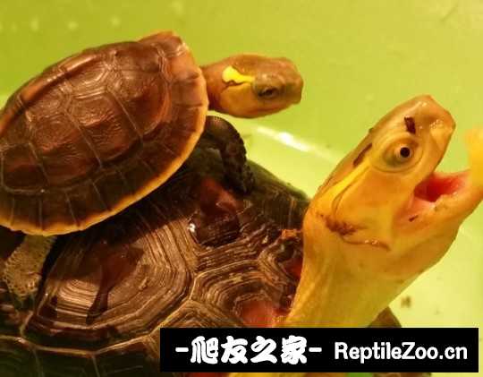 221320xvj4bjy4lnp49pp0.jpg