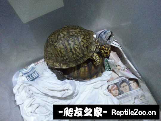 221336ppwtk1zwecez1w9t.jpg